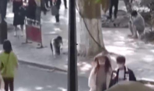 风景爆料女主播视频,带你领略自然魅力 第2张 风景爆料女主播视频,带你领略自然魅力 第2张