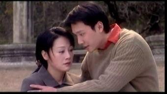 爱情密码全集在线观看,揭秘情感密码，解锁幸福人生  第2张