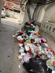 鲁山今日爆料最新消息,揭秘神秘事件真相! 第1张 鲁山今日爆料最新消息,揭秘神秘事件真相! 第1张